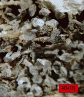 /album/galerie-photos/ossun-leuchtenbergite-8605-mod2-jpg/